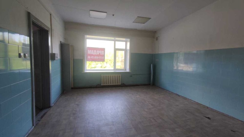 Помещение 100квадратов в центре города + 3сотки земли