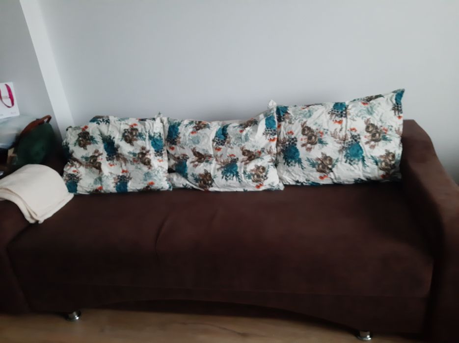Canapea cu 2 fololii