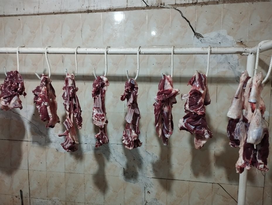 Qassob servis  Siz izlagan Tam va sifat uygʻunligi