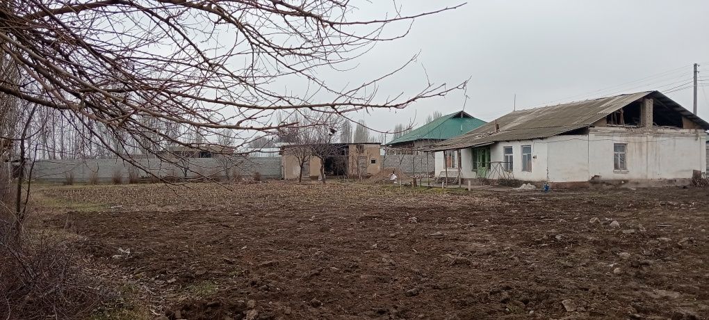 Продается дом участок на юкори Чирчикское районе