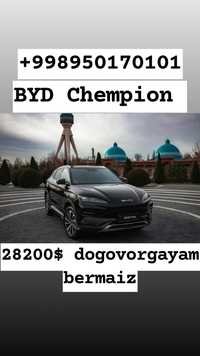 BYD Chempion 2024