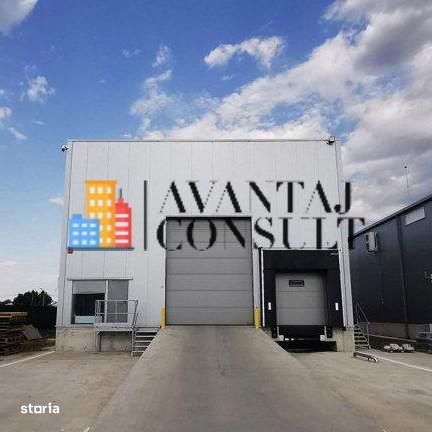 Inchirieri Spatii Industriale Branesti