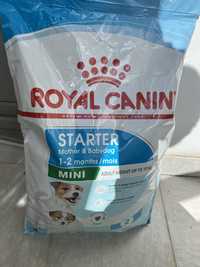 Pedigree Starter Royal Canin