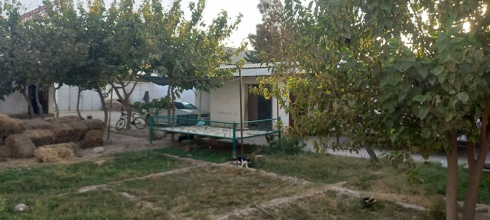 Ховли уй сотилади 6 сотих