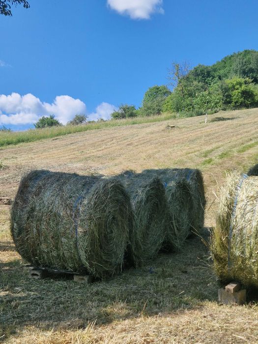 Baloți de Fân Amestecat cu Lucernă