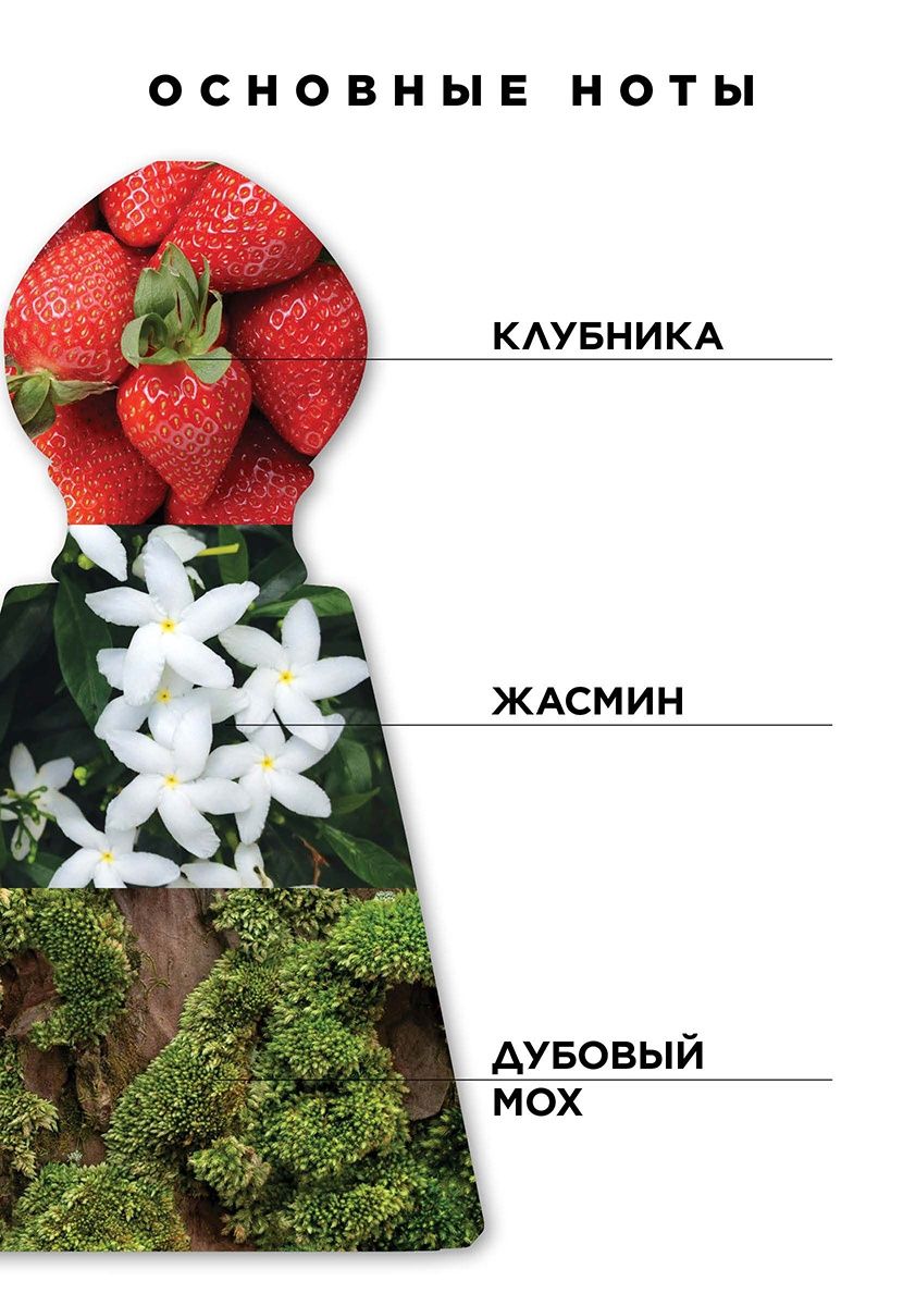 Faberlic Arvanta duxisi
