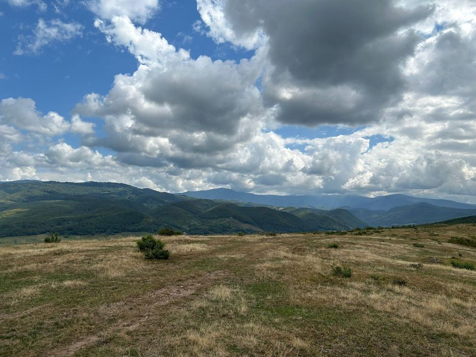Vând teren construcție casă, sat Sârbești, jud. Bihor, 17 euro m2