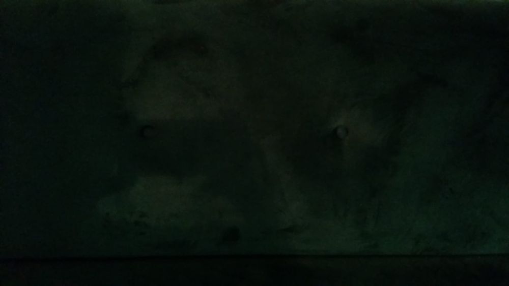 Canapea catifea verde extensibila superba