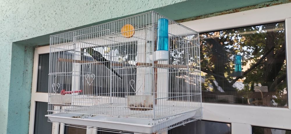 Продаю келетки в хорошем состояни