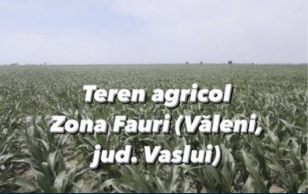Teren agricol Extravilan
