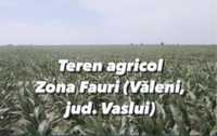 Teren agricol Extravilan