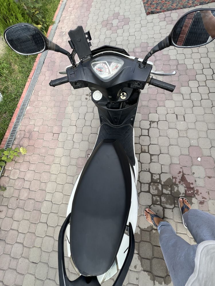 Продам моред peda срочно