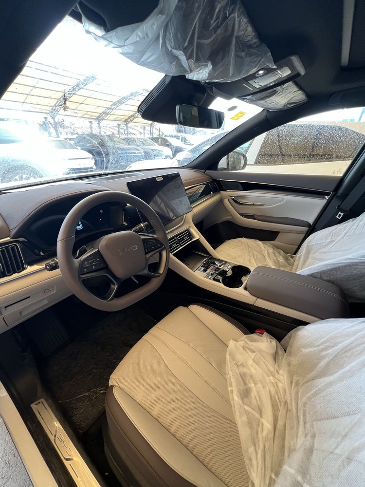Byd chempion smart