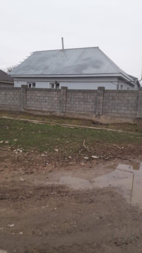 Үй сатыдады түлкібас ауданы шакбак баба ауылы