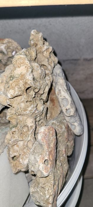 Vând pietre calcaroase de decor pentru acvariu sau terariu