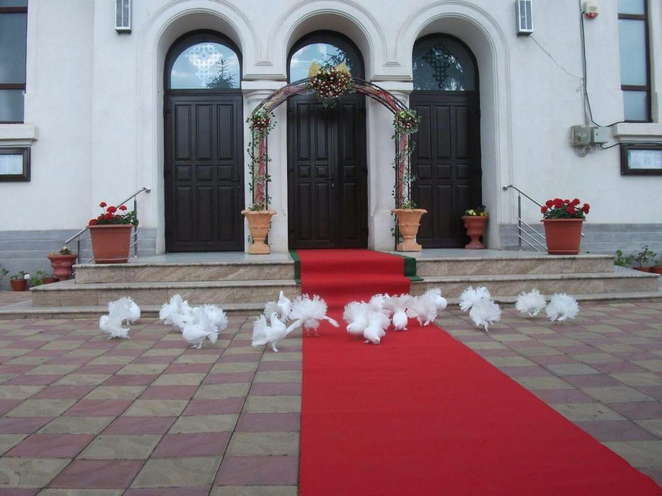 Artificii de exterior colorate