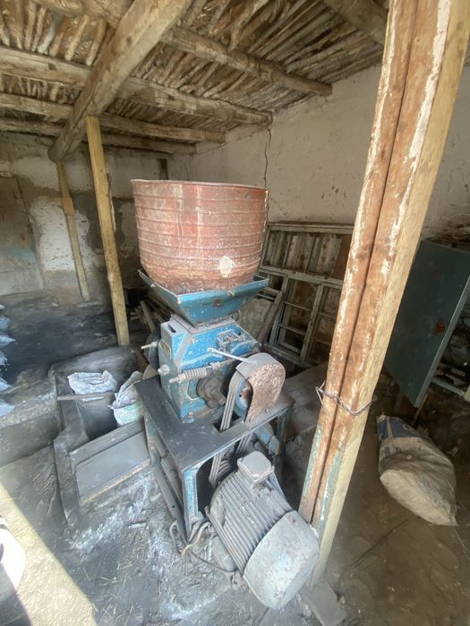 Тегирмон 25 тали