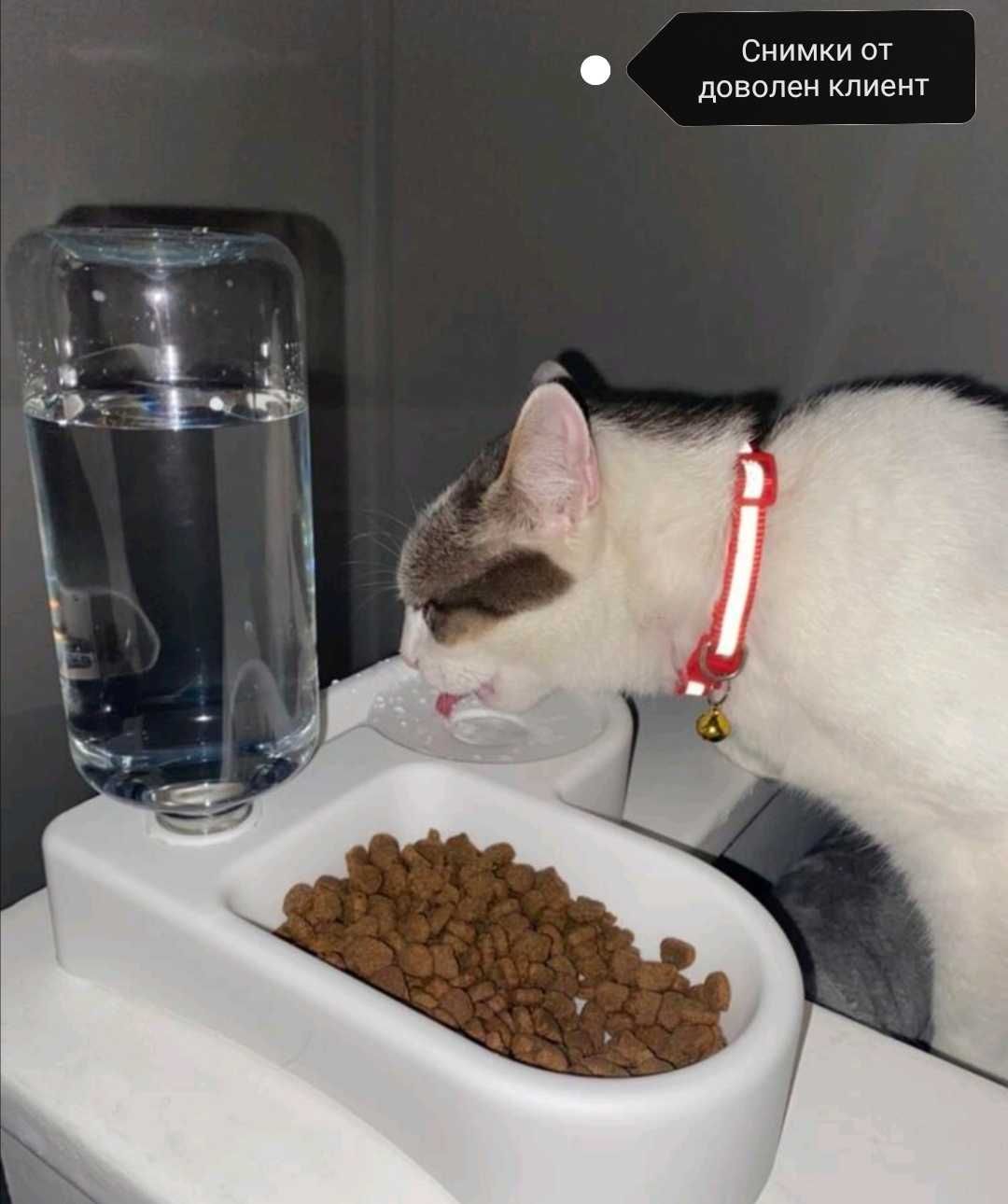 Поилка за храна и вода за котка и куче ъглова