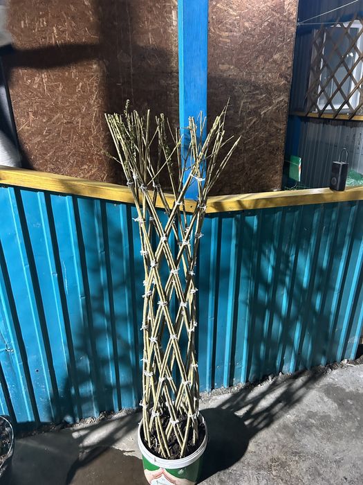 Продам плетеную иву