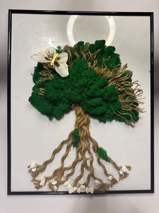 Vând tablouri licheni stabilizați