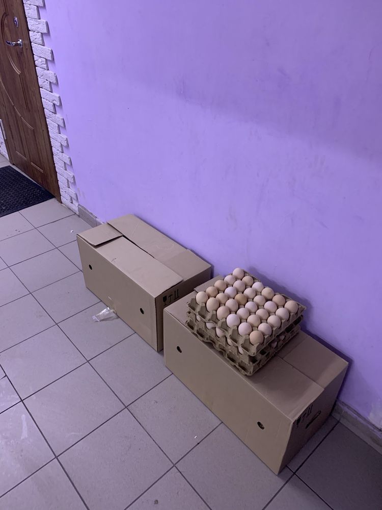 Яйцо Ижевское доставка от 1 коробки