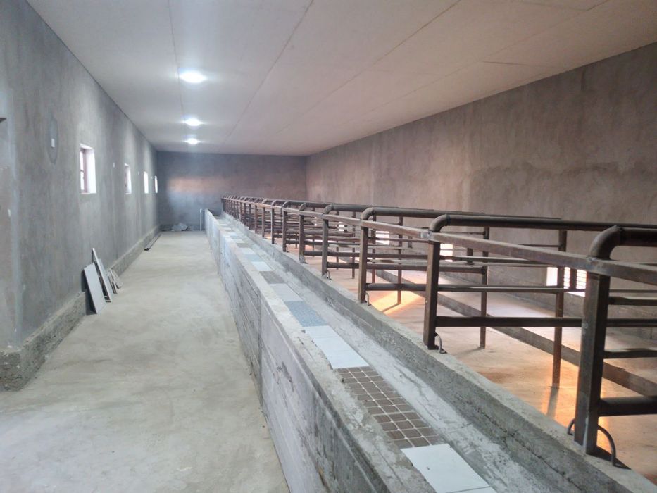 Tayyor ferma sotiladi