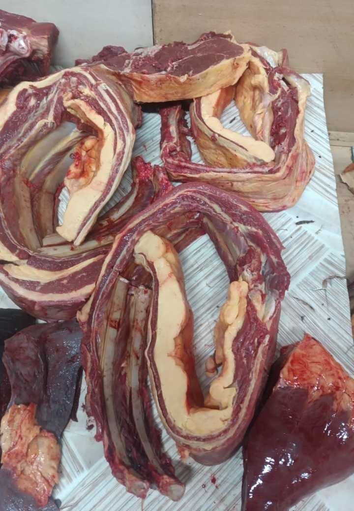 Мясо конины I Жылқы еті I Доставка бесплатно