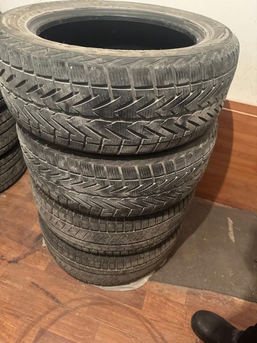 Сиена Зимний шина