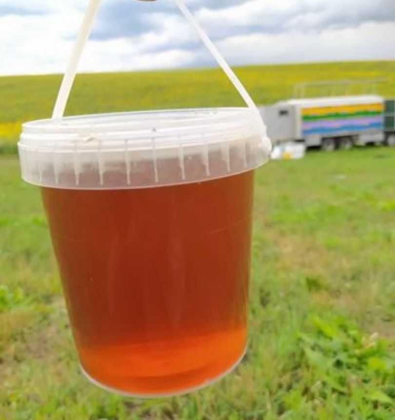 Мёд с ВКО Натуральный экологически чистый продукт