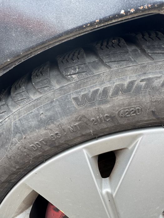 Jante Belmont golf5, golf8