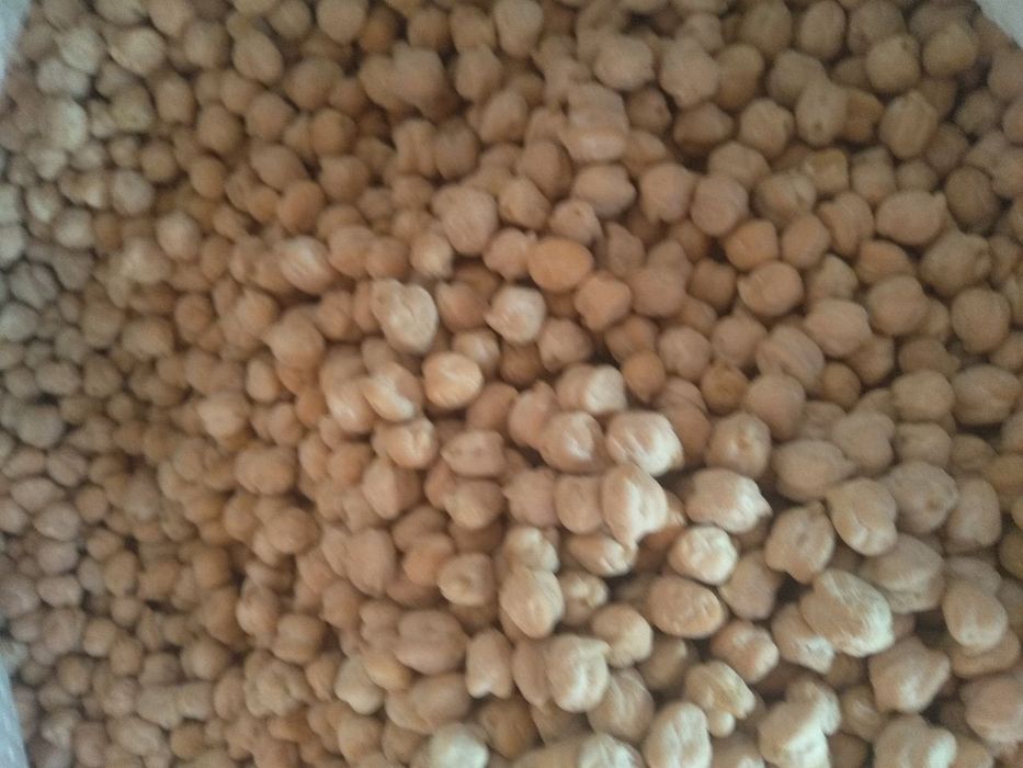 Noʻxat eng yaxshisi