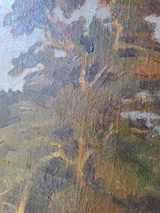 tablou pictura pe panza semnat c lecca 100 /75 m