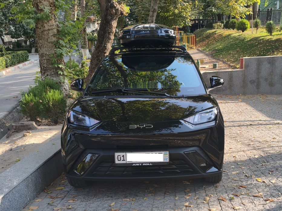 BYD seagull 2024
