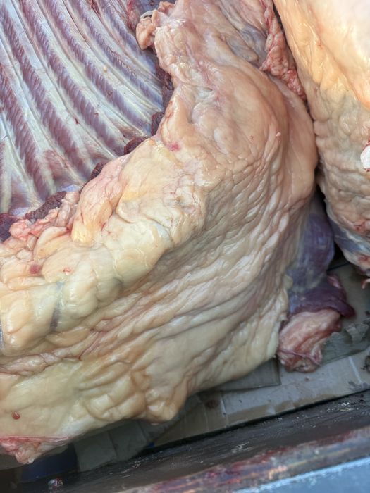 Семиз жабагы 2400 тг