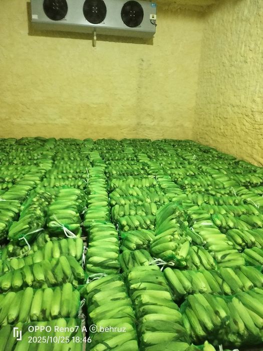 Shirin joʻxori . Marka 832. Сладкая кукуруза