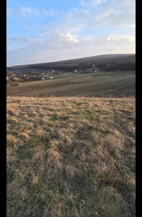 teren catamaresti vale langa padurea lacului cu  nuferi  cabana