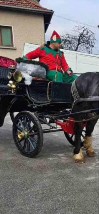 Файтон за ценители