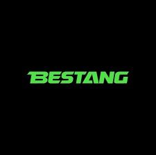 BESTANG шиналари 315/80 R22.5 PR20