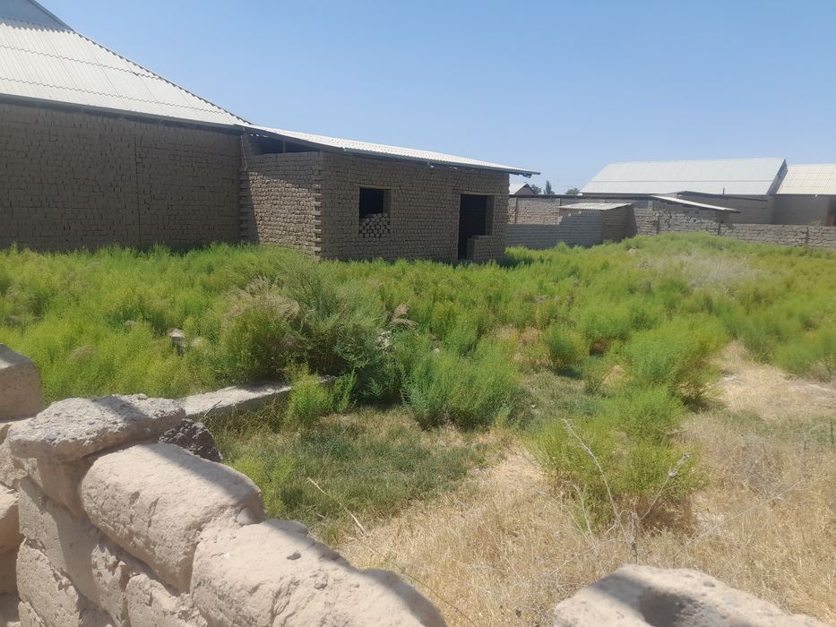 Shoyxuja gubdin 8sotix