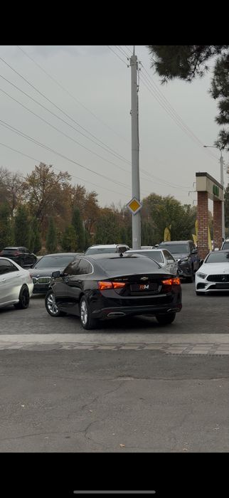 Malibu premier holati tinu moshina 2022