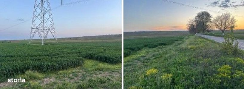 Teren cota parte 1/6 Paunesti, ID: R2547851