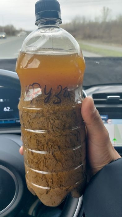 Фуза подсолнечная