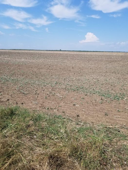 Teren de vinzare Gradistea jud Ilfov