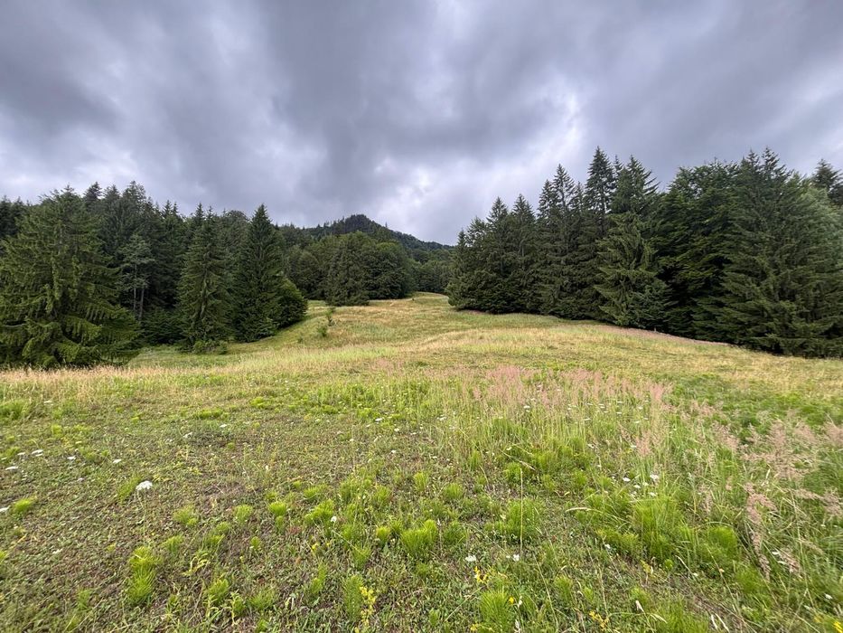 Teren extravilan în loc. Siriu