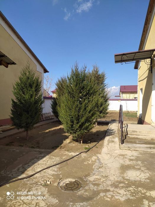 Hovli sotiladi Nurota shahrida