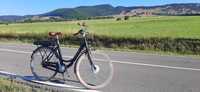 Bicicleta electrica Mustang 2022