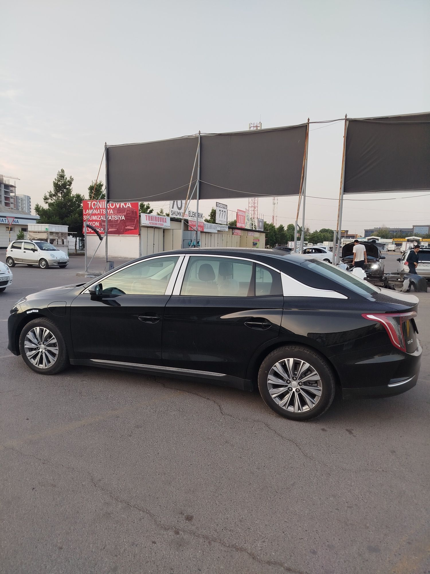 Hongqi Eqm5 500tali