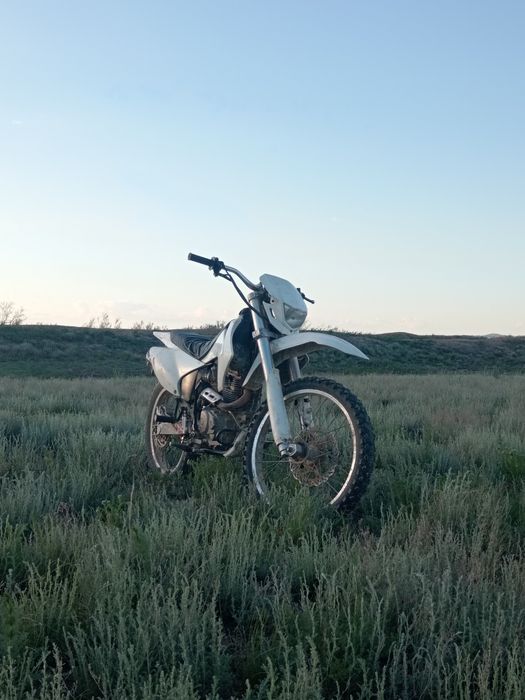 XINGUZIN Z2 06 250