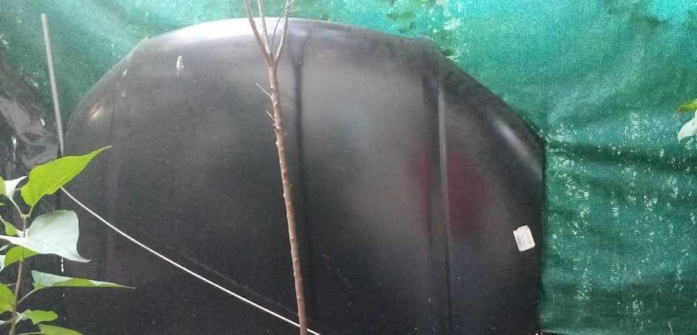 Капот с облицовкой на Ауди А8 рестайлинг,2005г.