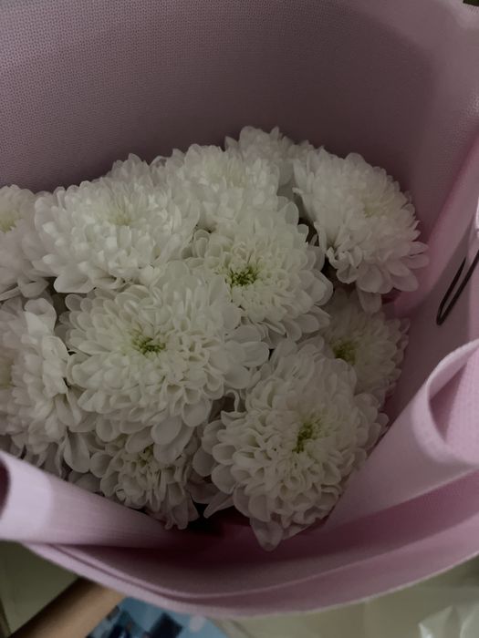 Свежие цветы по 3000